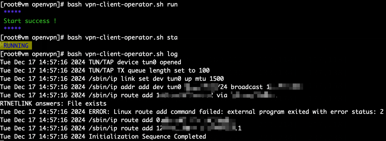 openvpn-client-run.png